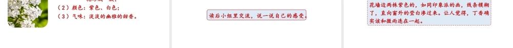 24版人教统编小学六年级上册第一单元2.丁香结 课件