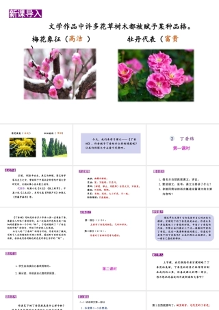 24版人教统编小学六年级上册第一单元2.丁香结 课件