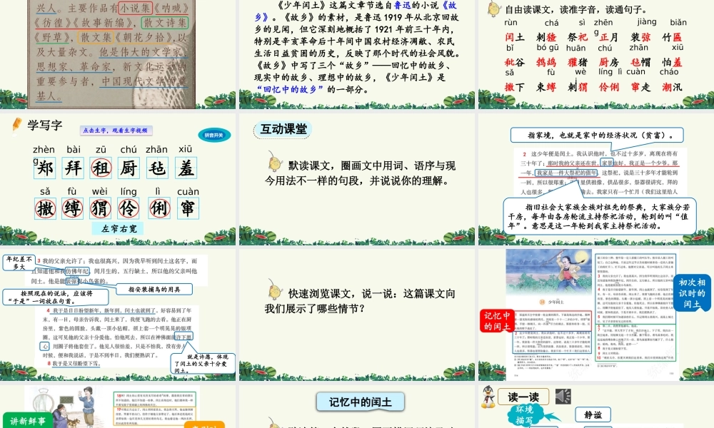 24人教统编版-小学六年级上册第八单元25 少年闰土 课件