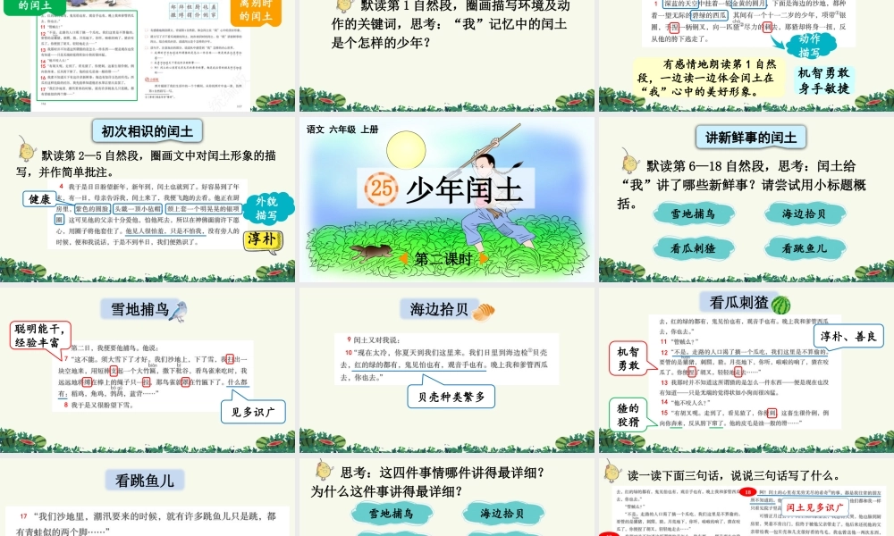 24人教统编版-小学六年级上册第八单元25 少年闰土 课件