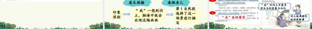 24人教统编版-小学六年级上册第八单元25 少年闰土 课件