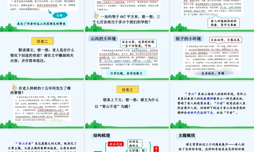 24人教统编版-小学六年级上册第六单元20 青山不老 课件