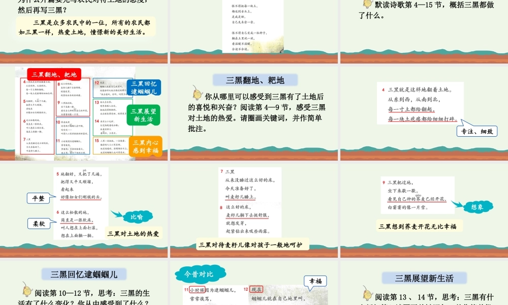 24人教统编版-小学六年级上册第六单元21 三黑和土地 课件