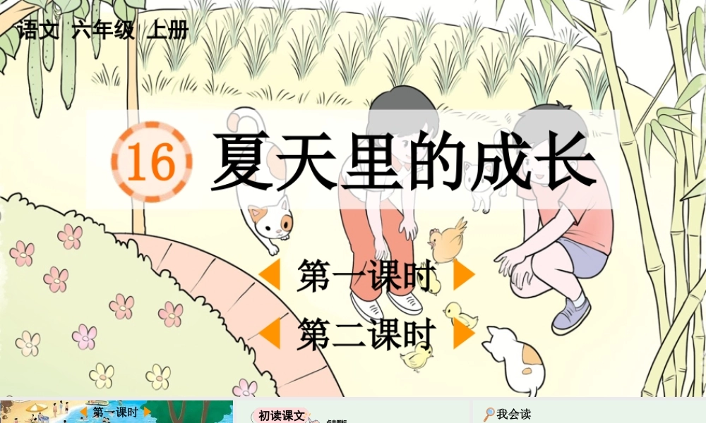 24人教统编版-小学六年级上册第五单元16 夏天里的成长 课件