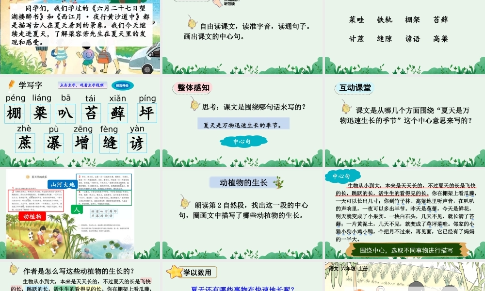 24人教统编版-小学六年级上册第五单元16 夏天里的成长 课件