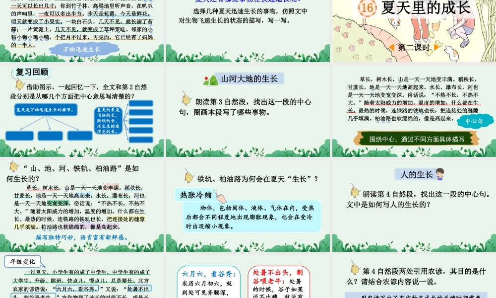 24人教统编版-小学六年级上册第五单元16 夏天里的成长 课件