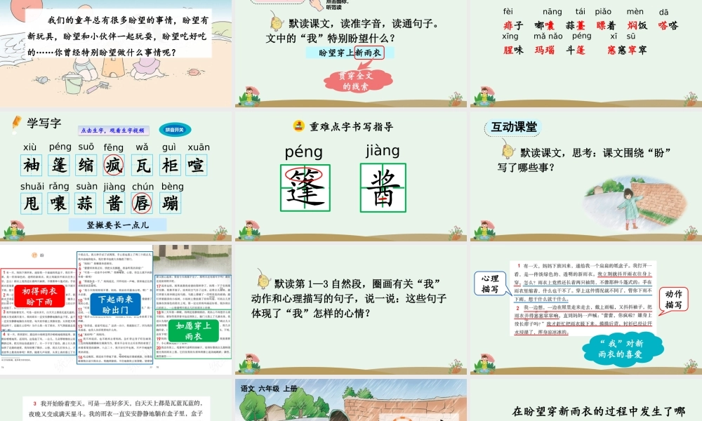 24人教统编版-小学六年级上册第五单元17 盼 课件