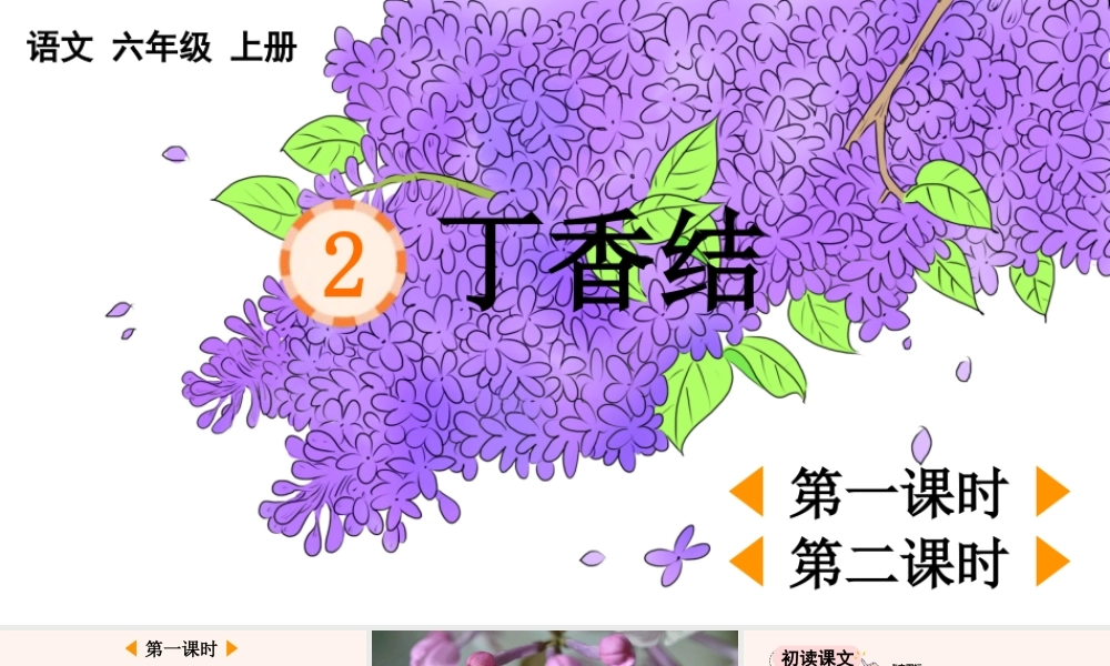 24人教统编版-小学六年级上册第一单元2 丁香结 课件