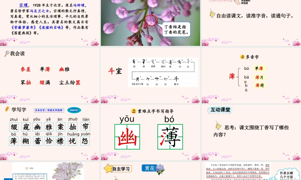 24人教统编版-小学六年级上册第一单元2 丁香结 课件