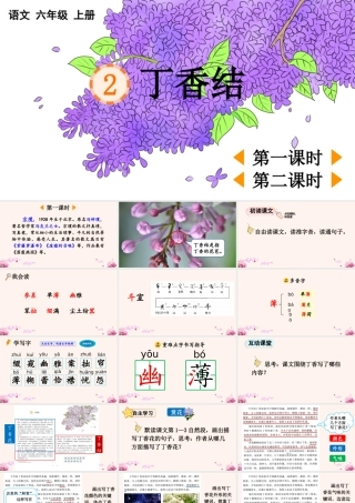 24人教统编版-小学六年级上册第一单元2 丁香结 课件