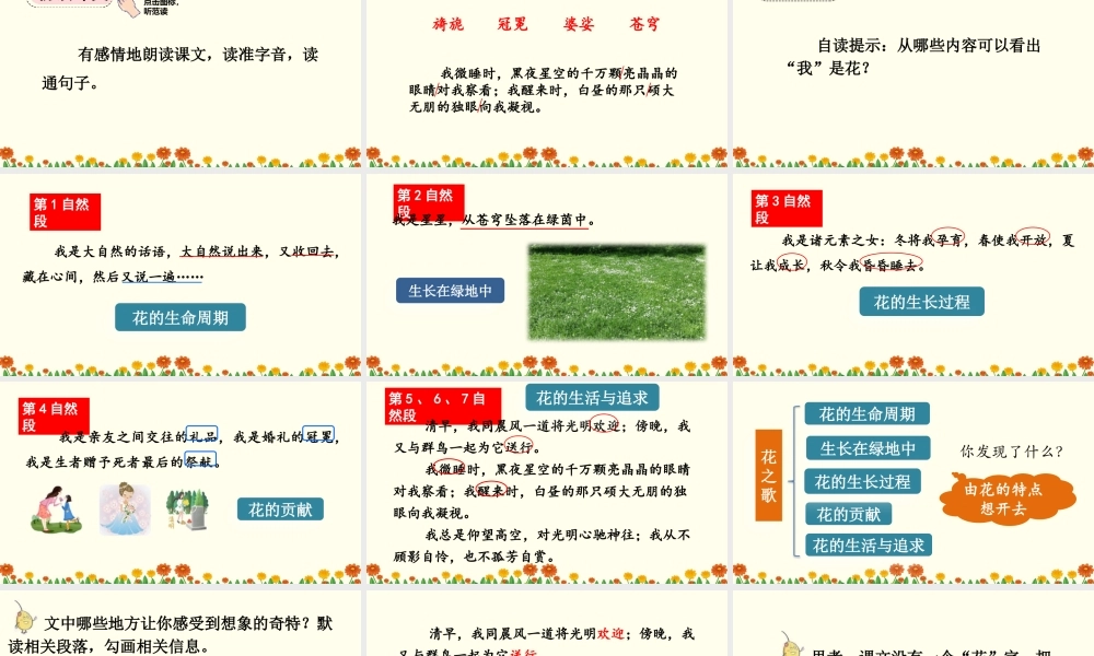 24人教统编版-小学六年级上册第一单元4 花之歌 课件