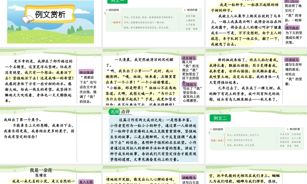 24人教统编版-小学六年级上册第一单元习作：变形记（范文+点评+升格）