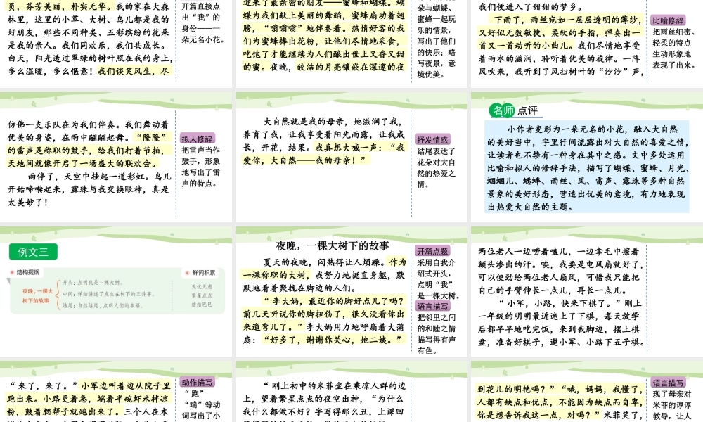 24人教统编版-小学六年级上册第一单元习作：变形记（范文+点评+升格）