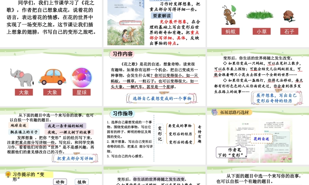 24人教统编版-小学六年级上册第一单元习作：变形记【课件】