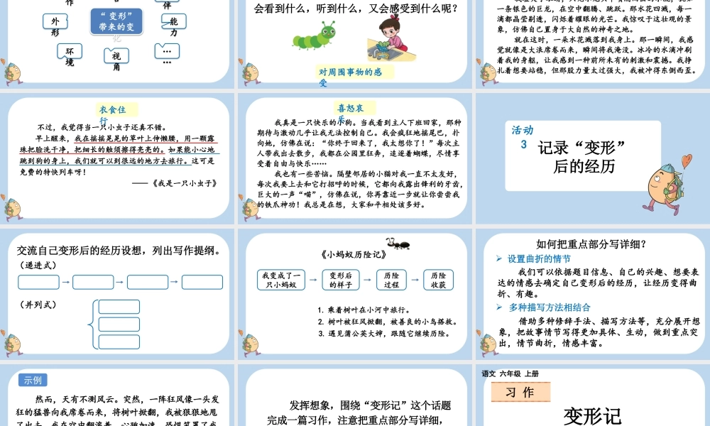 24人教统编版-小学六年级上册第一单元习作：变形记课件