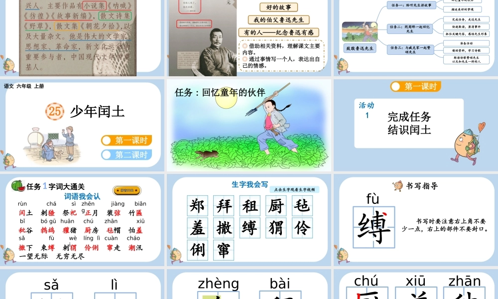 24人教统编版-小学六年级上册第八单元25 少年闰土课件