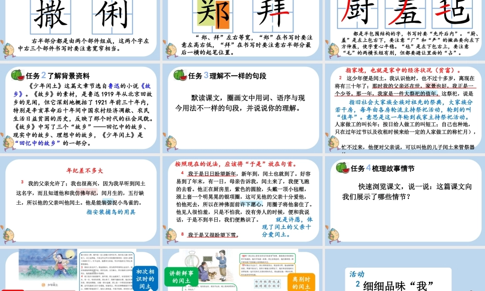 24人教统编版-小学六年级上册第八单元25 少年闰土课件