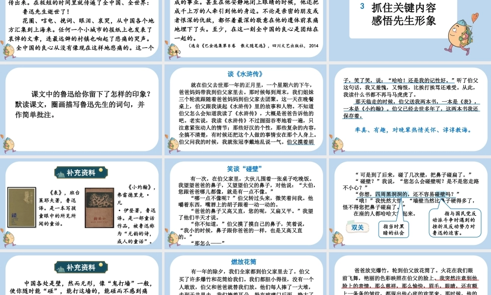 24人教统编版-小学六年级上册第八单元27 我的伯父鲁迅先生课件