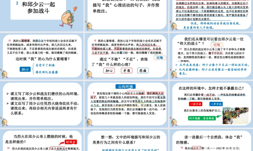 24人教统编版-小学六年级上册第二单元9 我的战友邱少云课件