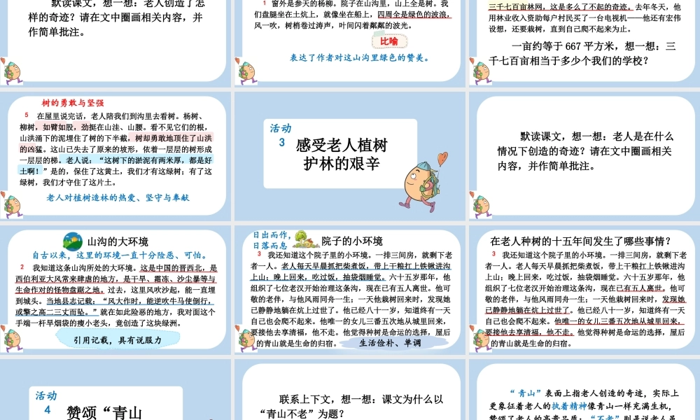 24人教统编版-小学六年级上册第六单元20 青山不老课件