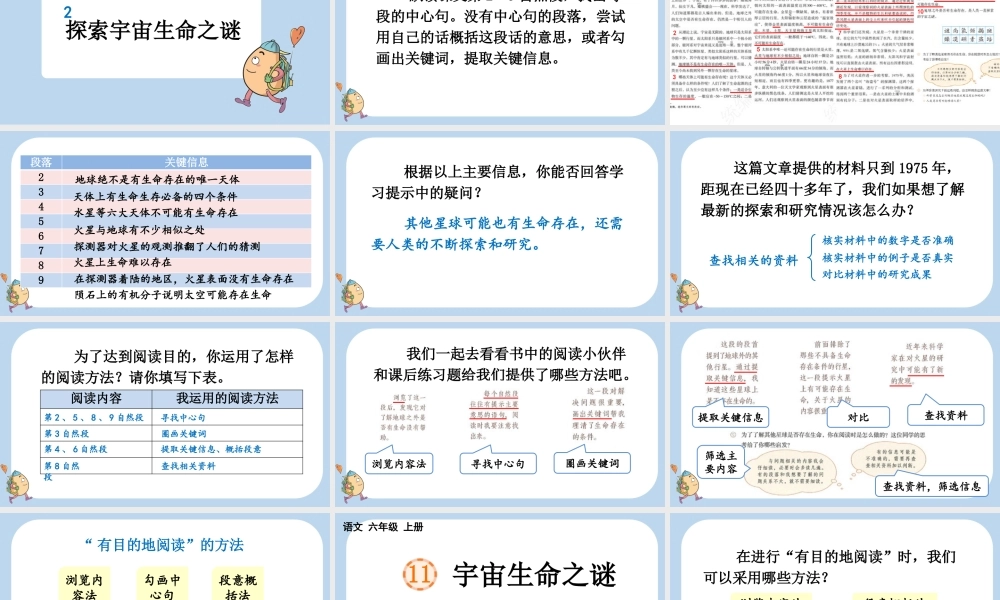 24人教统编版-小学六年级上册第三单元11 宇宙生命之谜课件