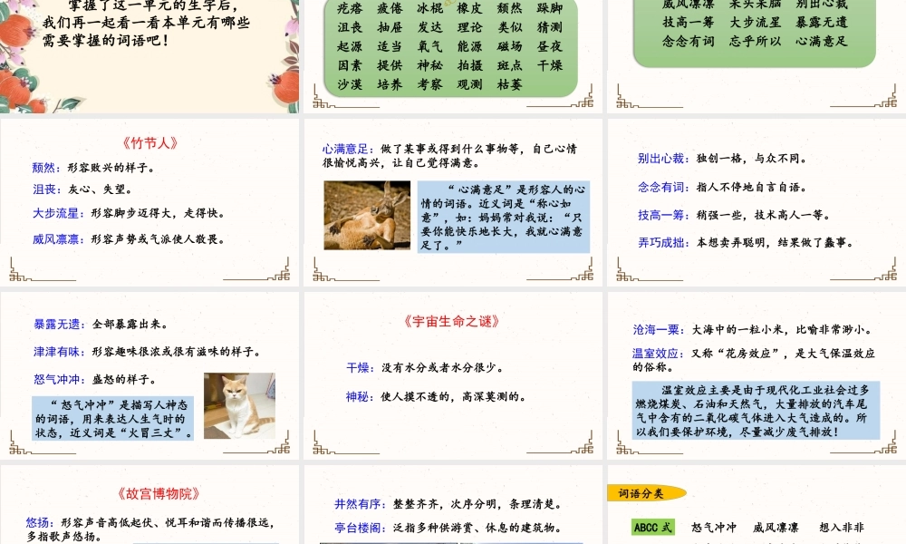 24人教统编版-小学六年级上册第三单元复习课件