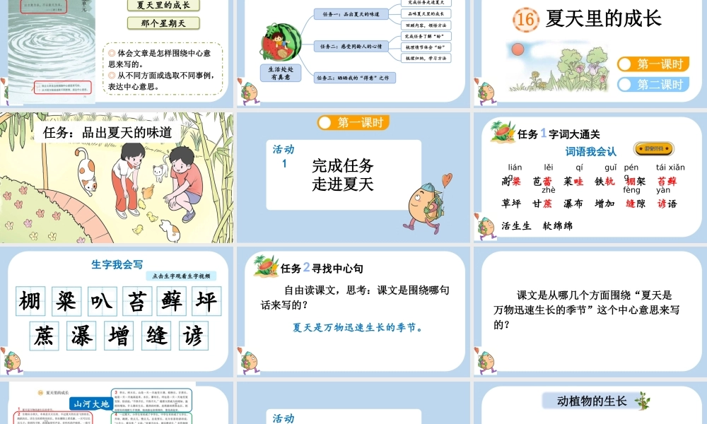 24人教统编版-小学六年级上册第五单元16 夏天里的成长课件