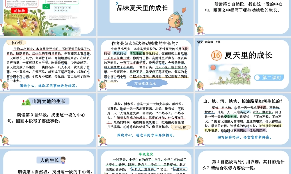24人教统编版-小学六年级上册第五单元16 夏天里的成长课件