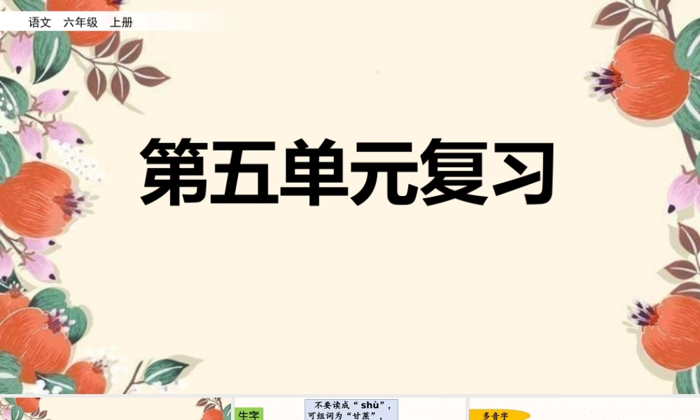 24人教统编版-小学六年级上册第五单元复习课件