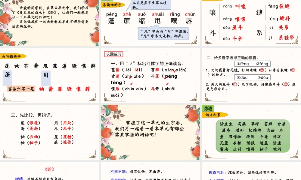 24人教统编版-小学六年级上册第五单元复习课件