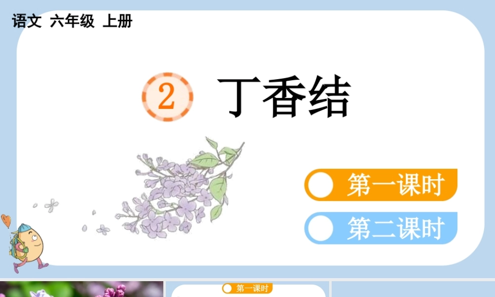 24人教统编版-小学六年级上册第一单元2 丁香结课件