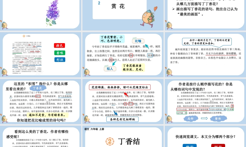 24人教统编版-小学六年级上册第一单元2 丁香结课件