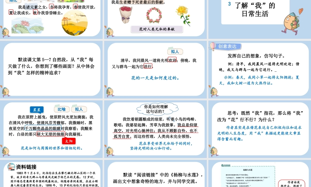 24人教统编版-小学六年级上册第一单元4 花之歌课件