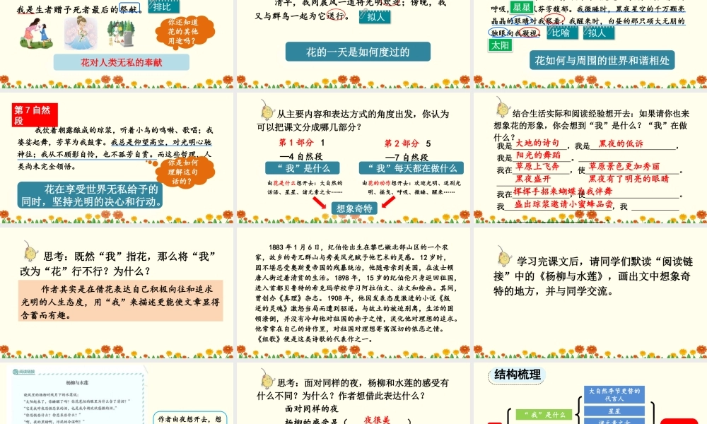 2025秋人教统编版-小学六年级上册第一单元4 花之歌 课件