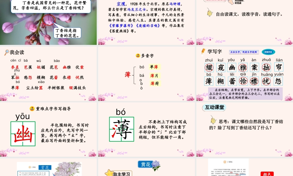 2025秋人教统编版-小学六年级上册第一单元2 丁香结 课件