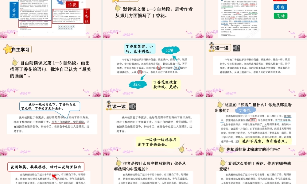 2025秋人教统编版-小学六年级上册第一单元2 丁香结 课件