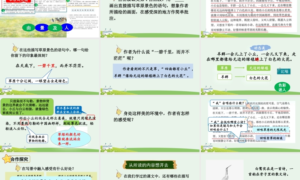 2025秋人教统编版-小学六年级上册第一单元1 草原 课件