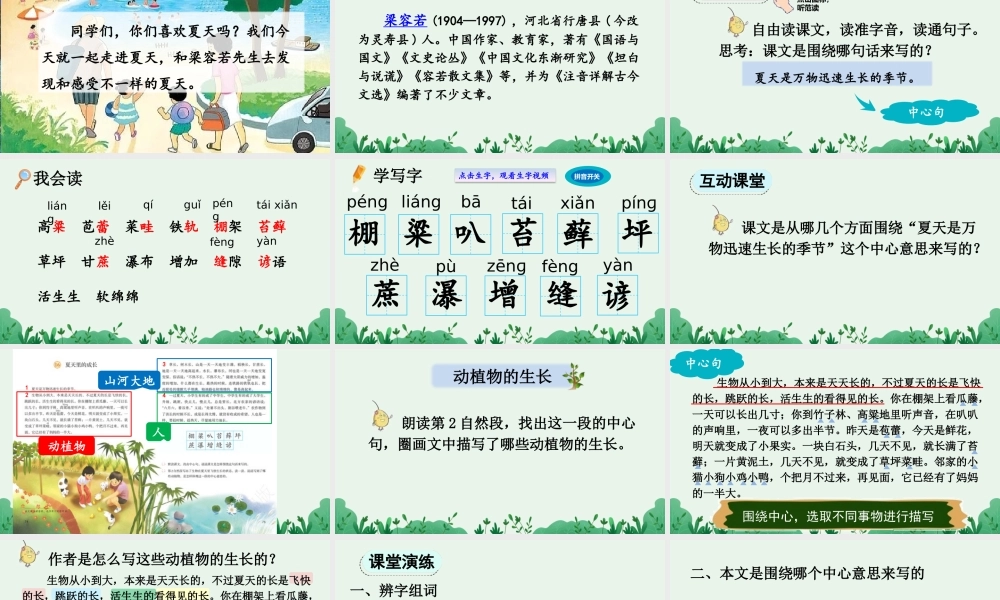 2025秋人教统编版-小学六年级上册第五单元16 夏天里的成长 课件