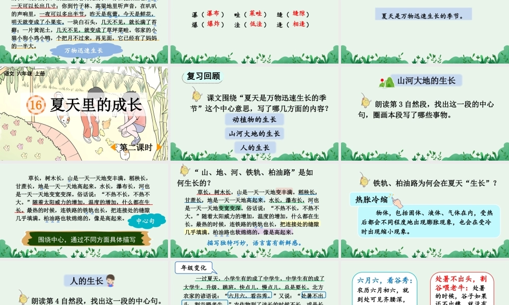 2025秋人教统编版-小学六年级上册第五单元16 夏天里的成长 课件