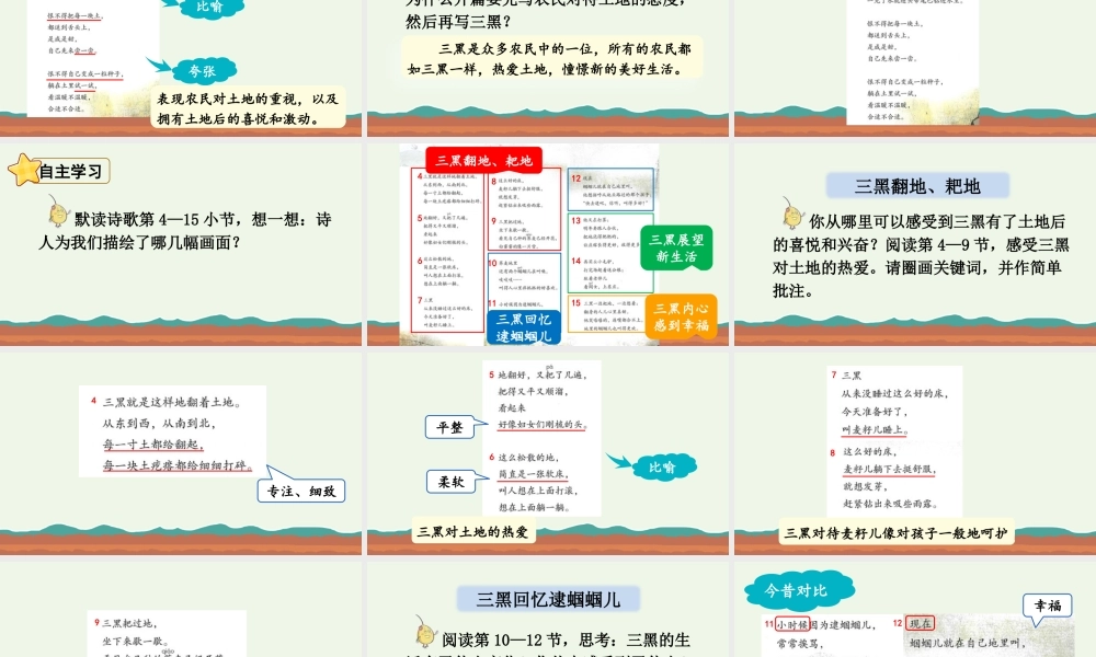 2025秋人教统编版-小学六年级上册第六单元21 三黑和土地 课件