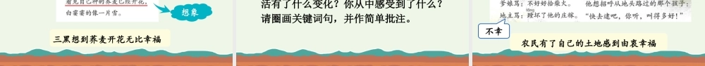 2025秋人教统编版-小学六年级上册第六单元21 三黑和土地 课件