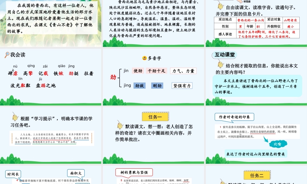 2025秋人教统编版-小学六年级上册第六单元20 青山不老 课件