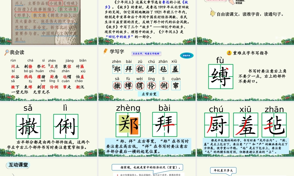 2025秋人教统编版-小学六年级上册第八单元25 少年闰土 课件