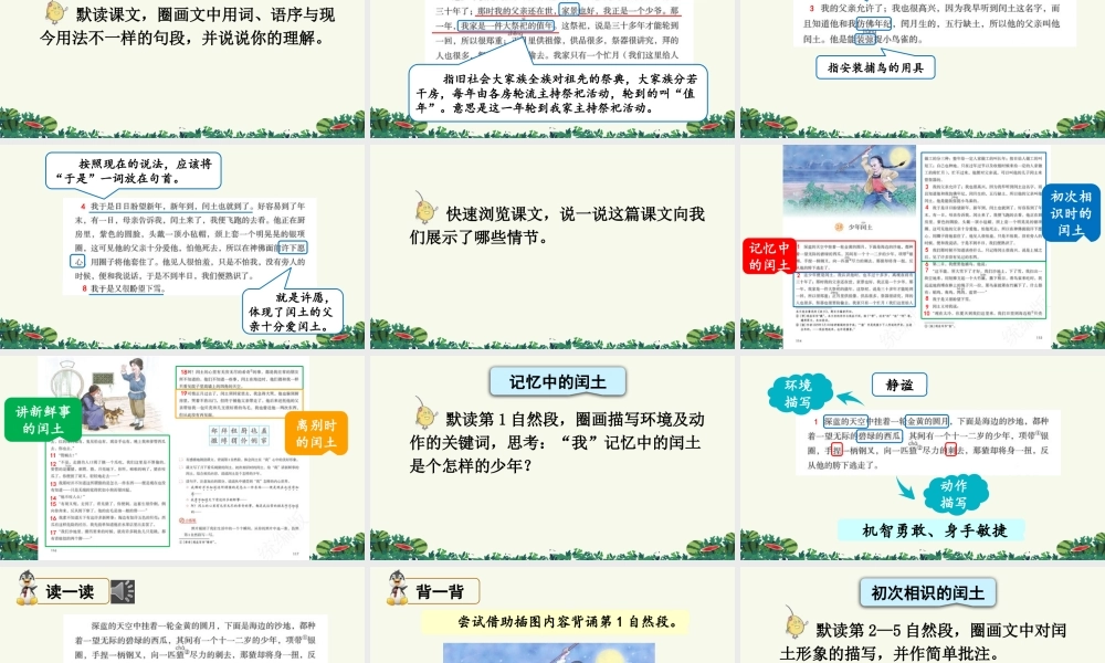 2025秋人教统编版-小学六年级上册第八单元25 少年闰土 课件