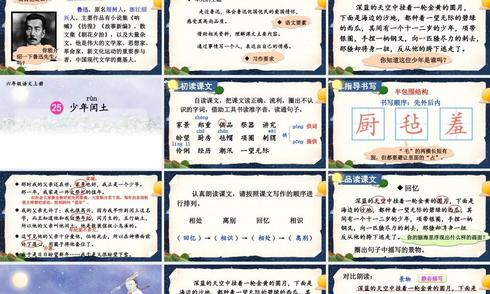 （24人教统编版）小学六年级语文上册第八单元25 少年闰土课件