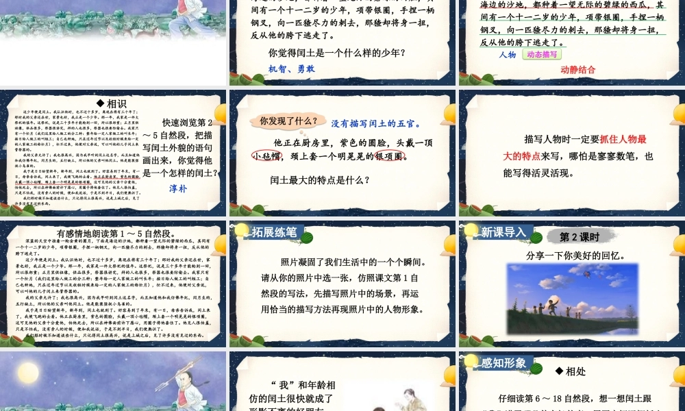 （24人教统编版）小学六年级语文上册第八单元25 少年闰土课件