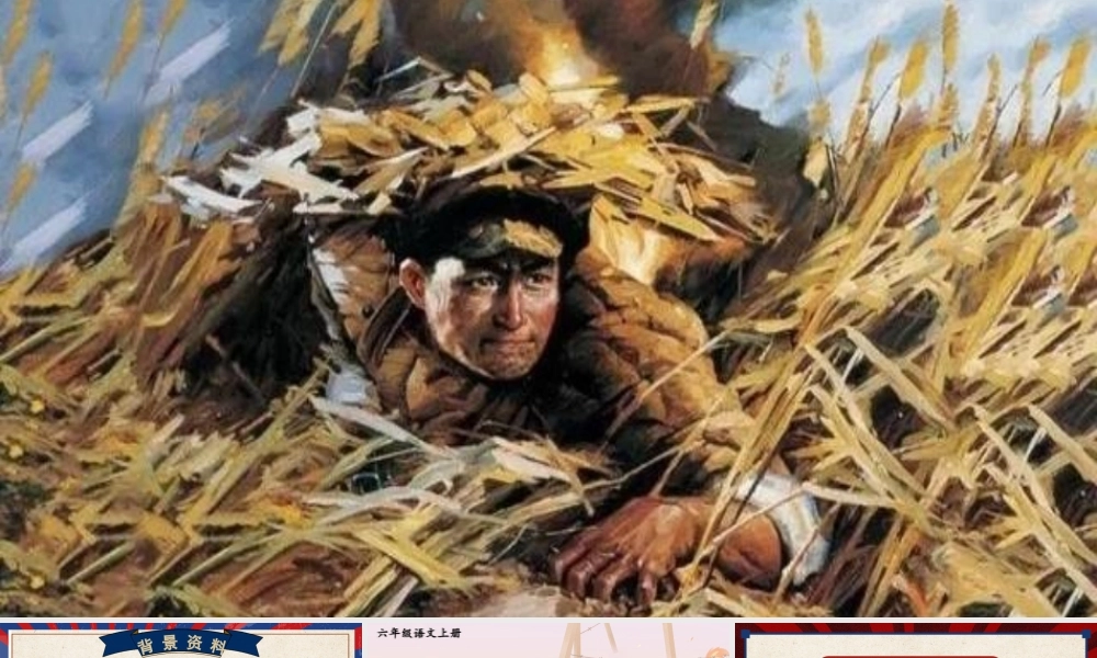 （24人教统编版）小学六年级语文上册第二单元9 我的战友邱少云课件 