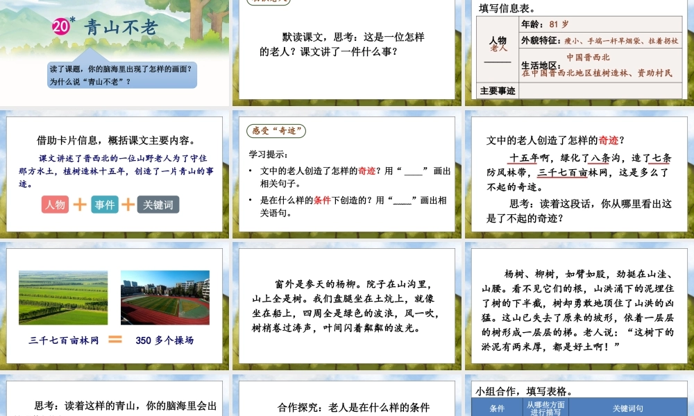 （24人教统编版）小学六年级语文上册第六单元20 青山不老课件
