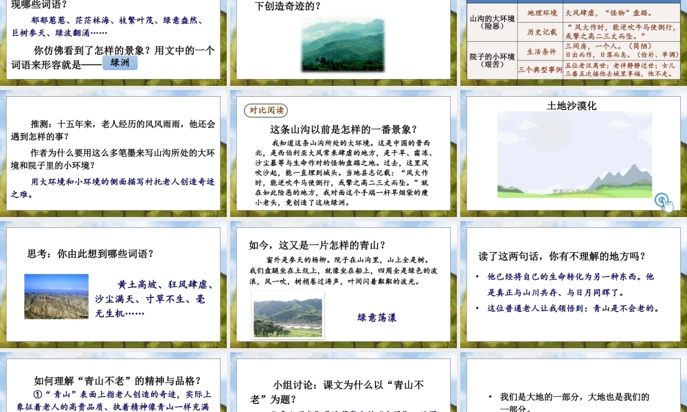 （24人教统编版）小学六年级语文上册第六单元20 青山不老课件