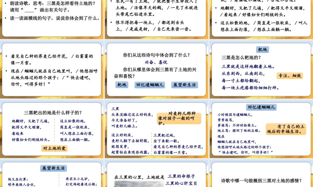（24人教统编版）小学六年级语文上册第六单元21 三黑和土地课件